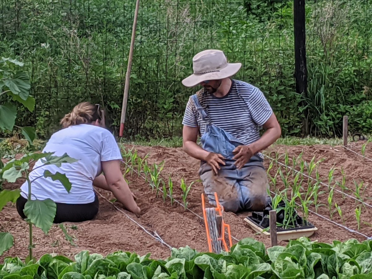 readingtonPlanting-1